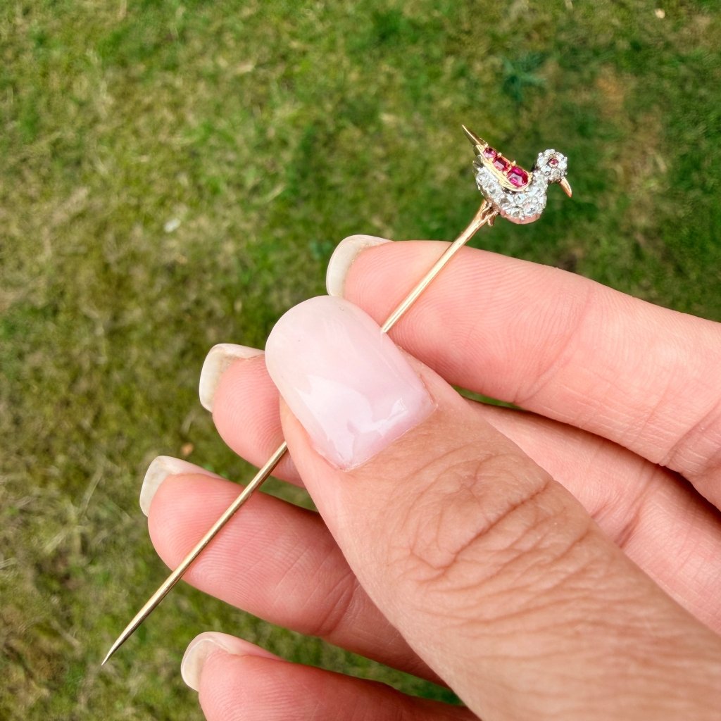 Zoom