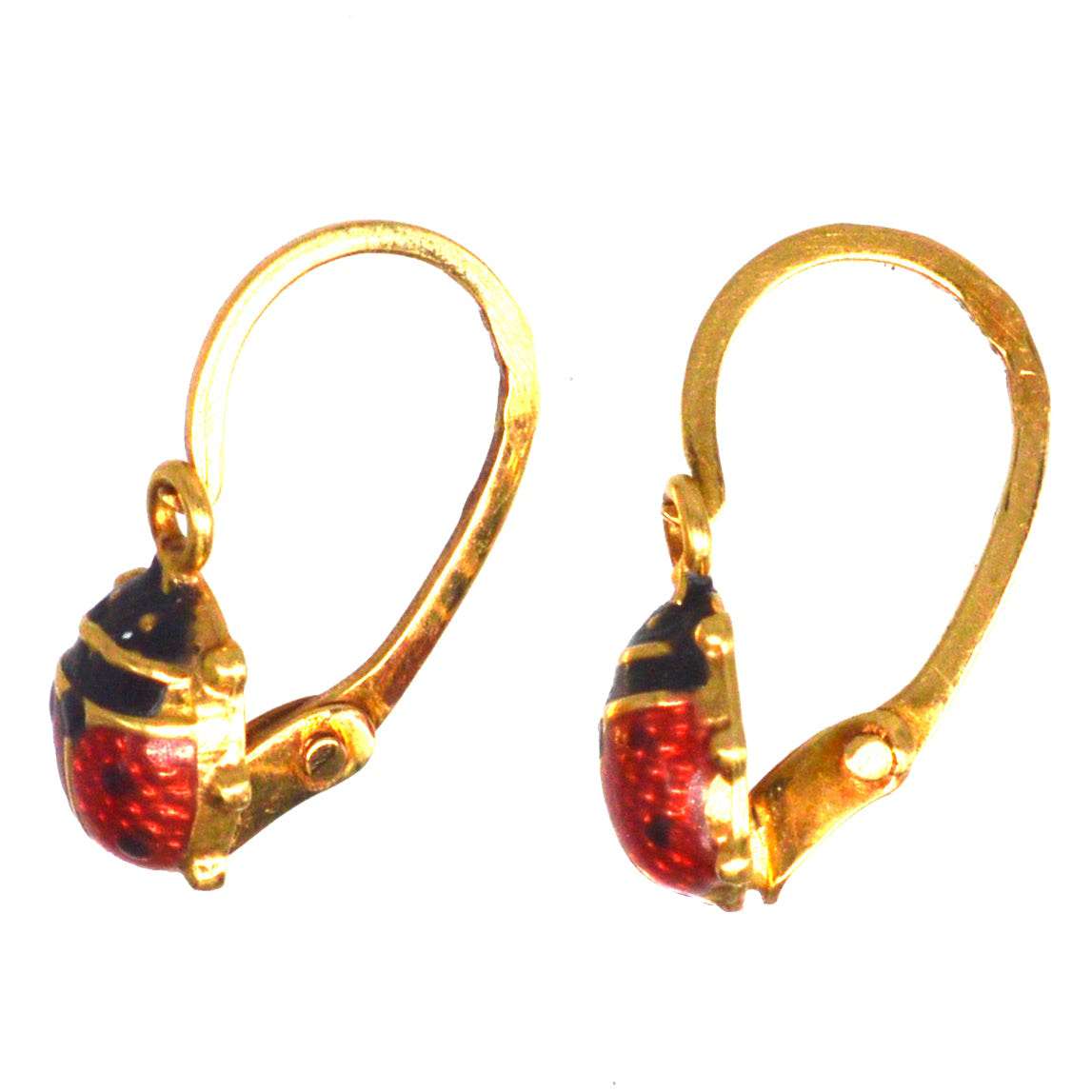 Agrandir