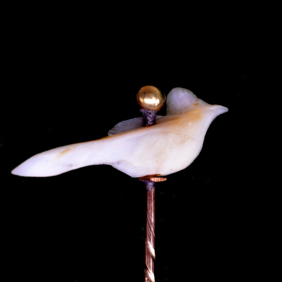 Victorian Baroque Pearl Tie Pin in shape of a Bird | Parkin and Gerrish | Antique & Vintage Jewellery