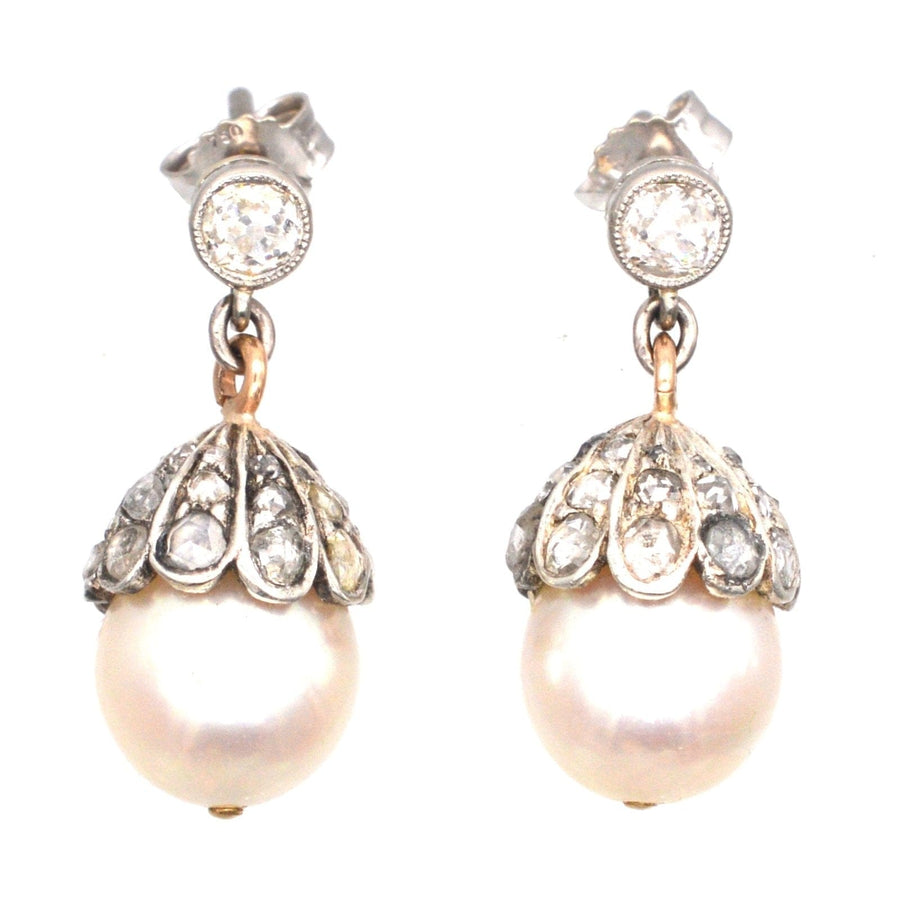 Edwardian 18ct White Gold, Cultured Pearl and Rose Diamond Acorn Earrings | Parkin and Gerrish | Antique & Vintage Jewellery