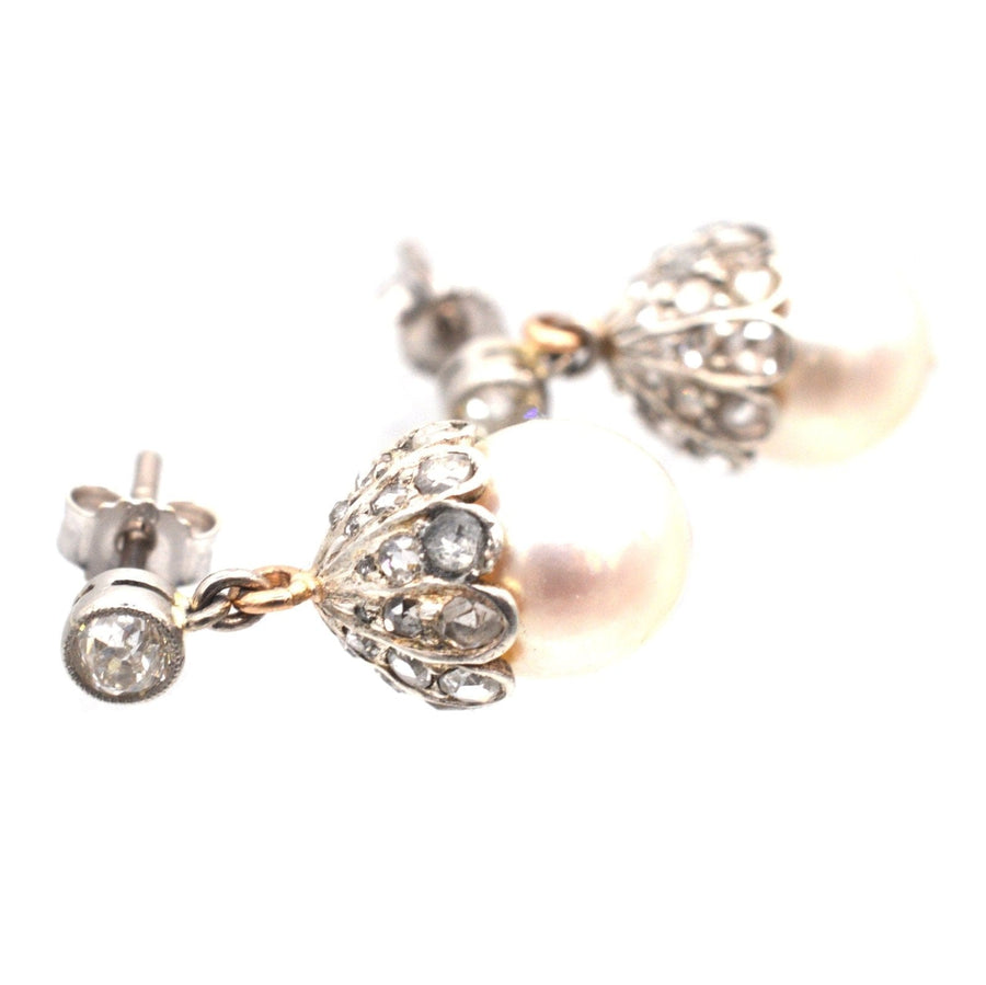 Edwardian 18ct White Gold, Cultured Pearl and Rose Diamond Acorn Earrings | Parkin and Gerrish | Antique & Vintage Jewellery