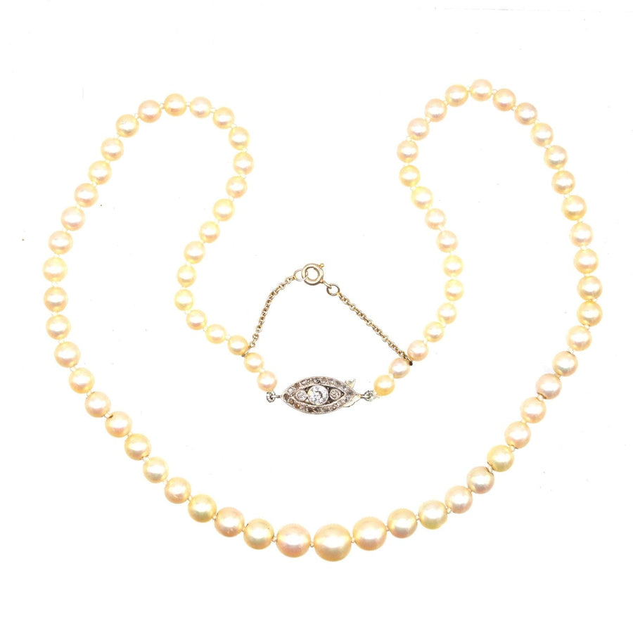 French Belle Epoque 18ct White Gold Cultured Pearl Single Strand Necklace with Diamond Clasp | Parkin and Gerrish | Antique & Vintage Jewellery